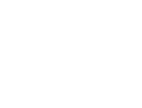 AI agenti pre firmy | ANS Consultancy
