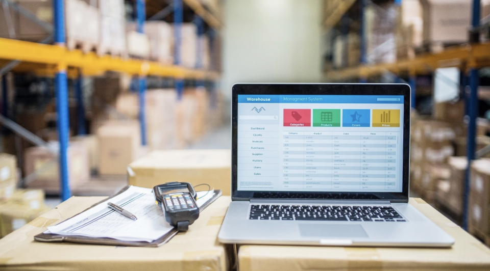 Home | ANS Consultancy