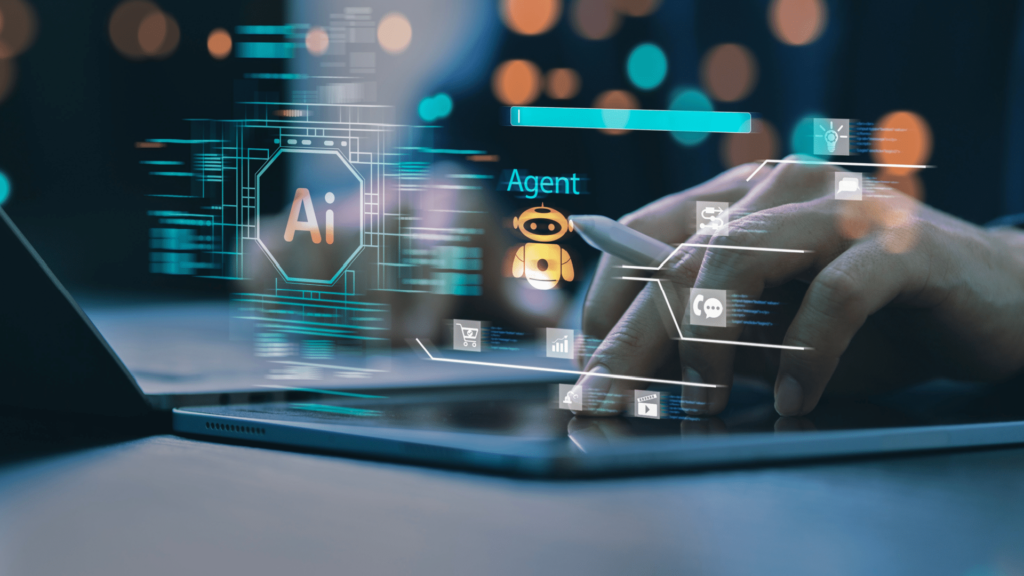 Produkty | ANS Consultancy