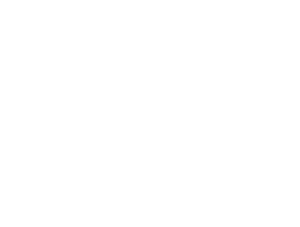 AI Agents for Business | ANS Consultancy